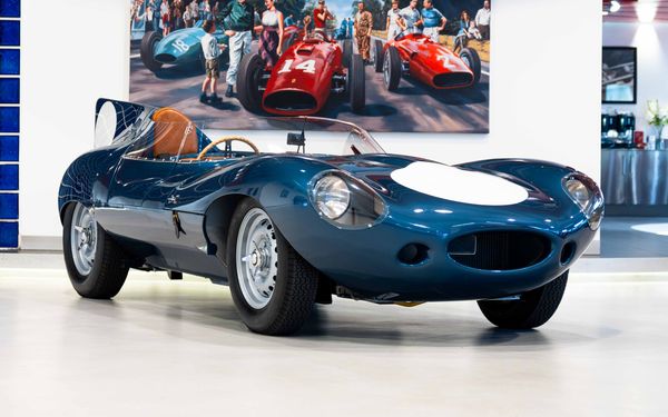 Jaguar D-Type Continuation