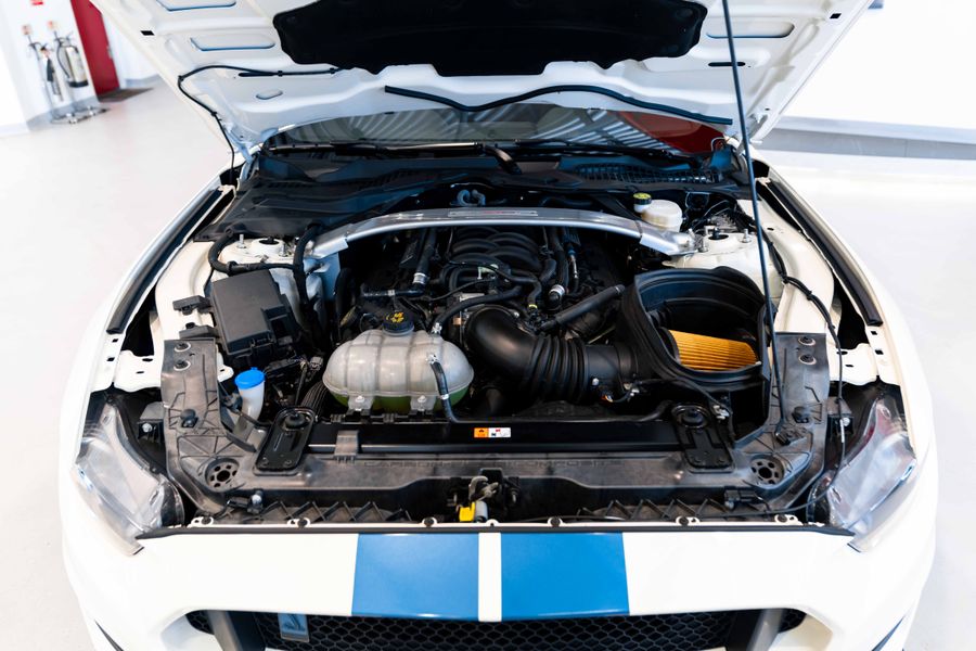 Ford Mustang Shelby GT350R Heritage Edition
